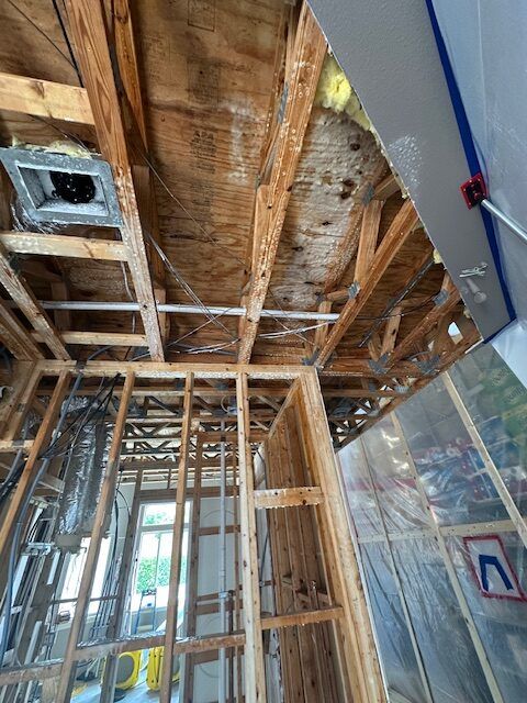 Tampa Mold Remediation for Floors