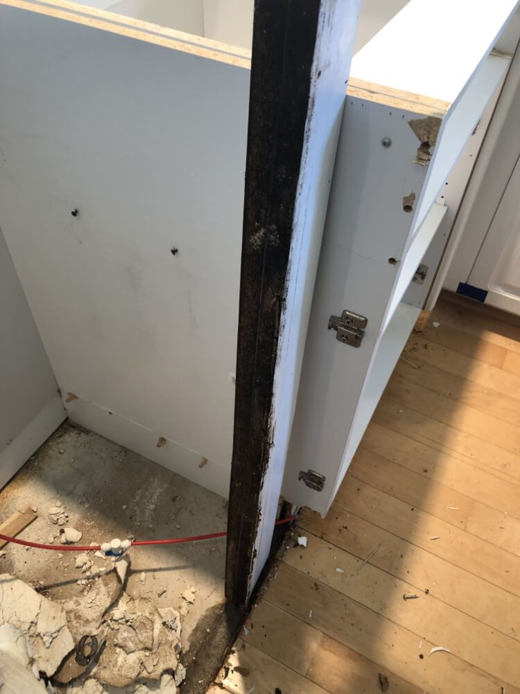 mold remediation in kitchen