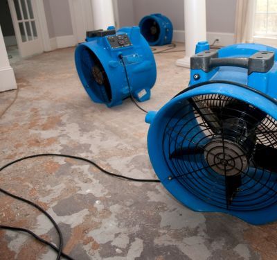 The Link Between Flood Damage and Mold Growth: What Tampa Residents Should Know