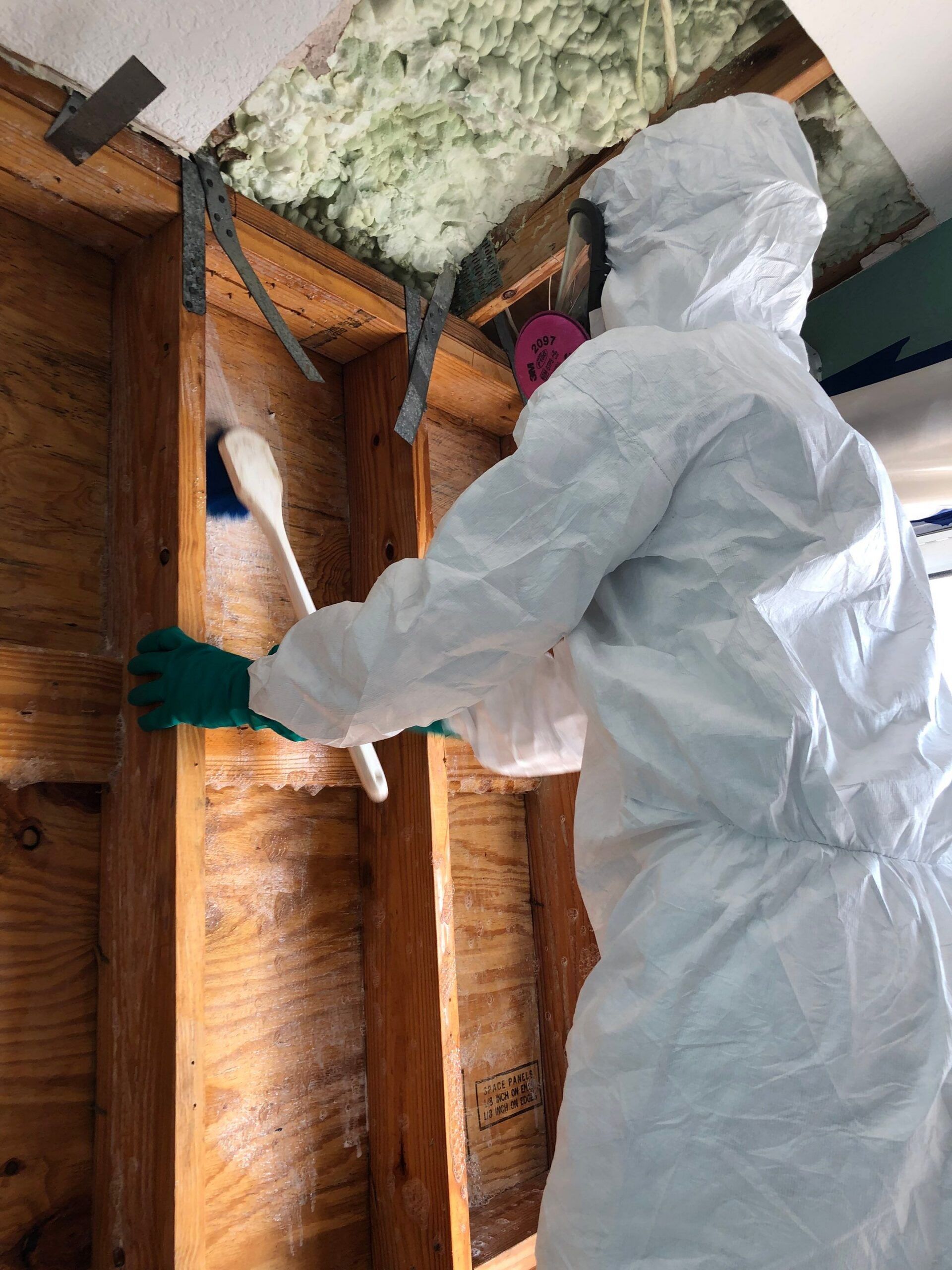 Mold Remediation in Tampa