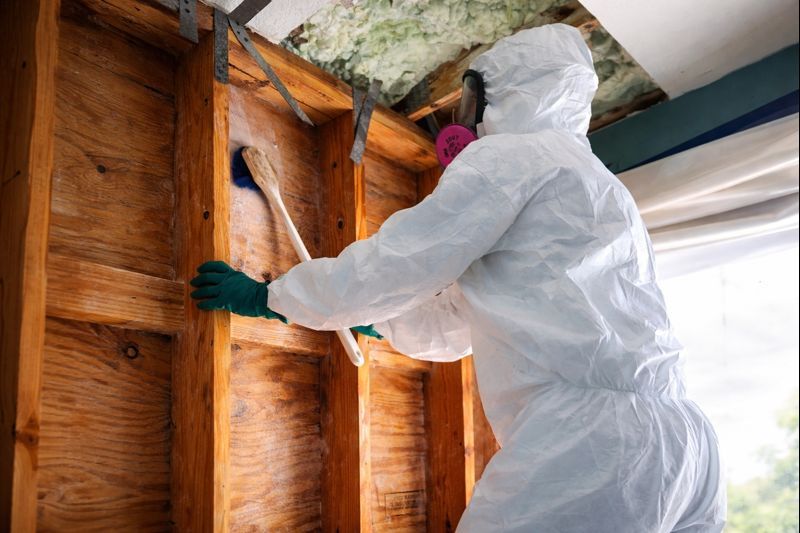 Odor Removal Services