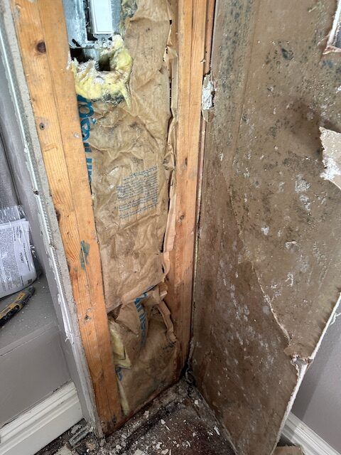 During Services Tampa Emergency Restoration