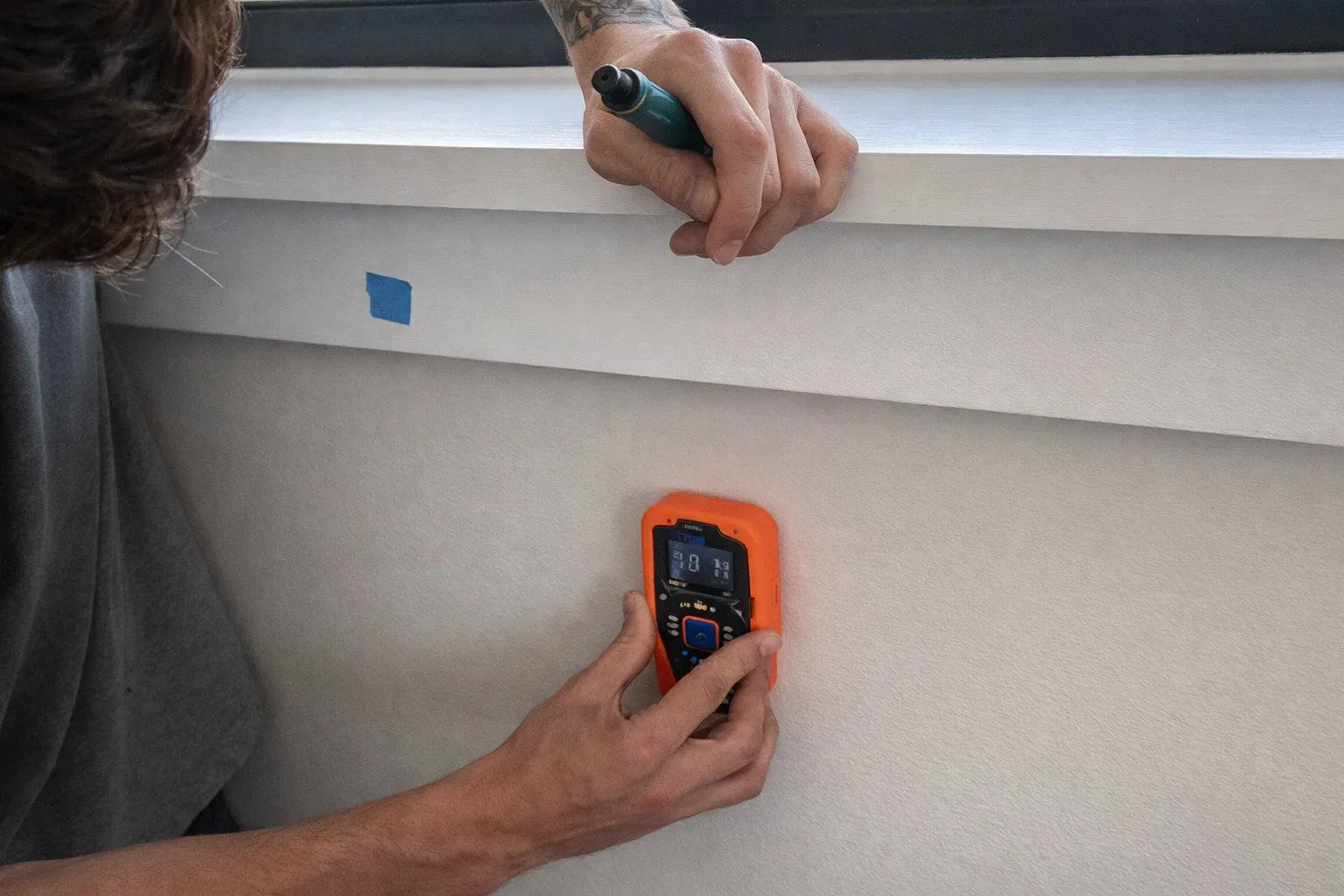 Mold Assessment and Testing Services