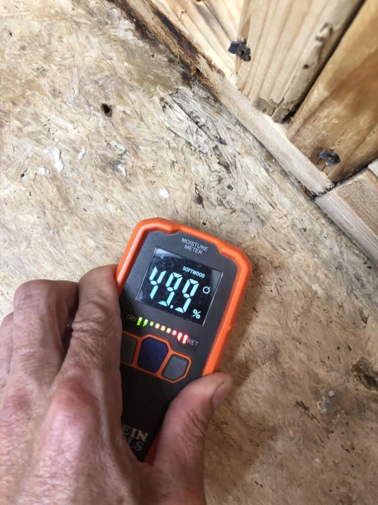 Moisture Meter Reading 49 percent