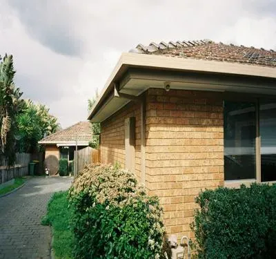 Brick home in Tampa, Florida with palm trees and shrubs for landscaping.