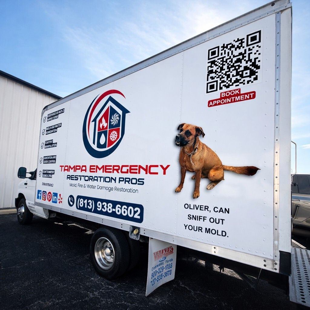 Tampa Emergency Restoration Pros Team