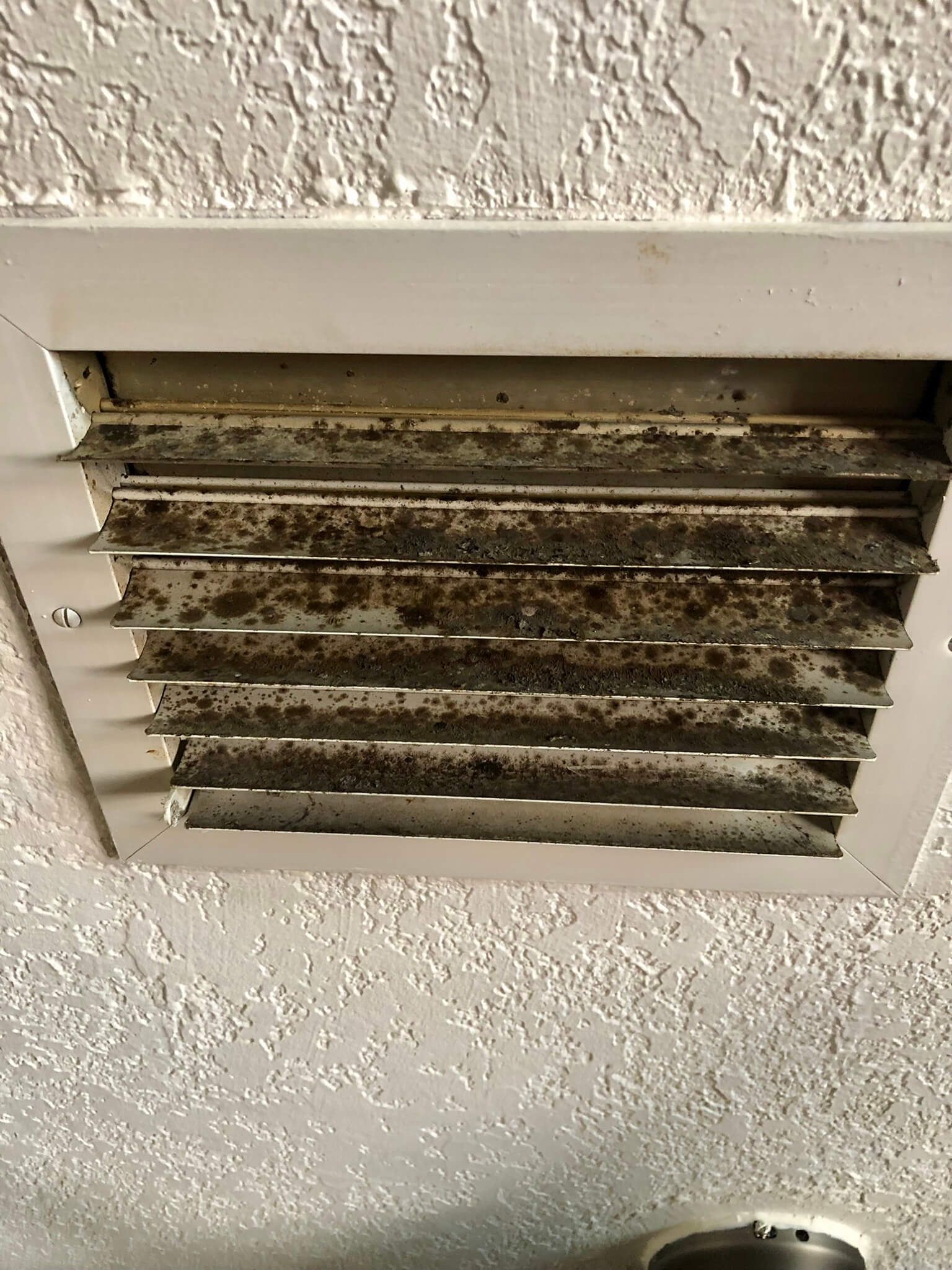 Air Duct Sanitizing