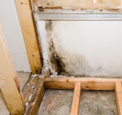 Mold growth in home