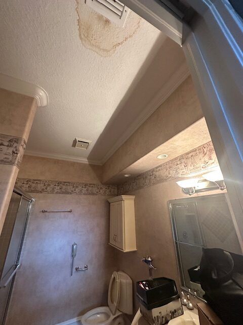 Before Services Tampa Emergency Restoration