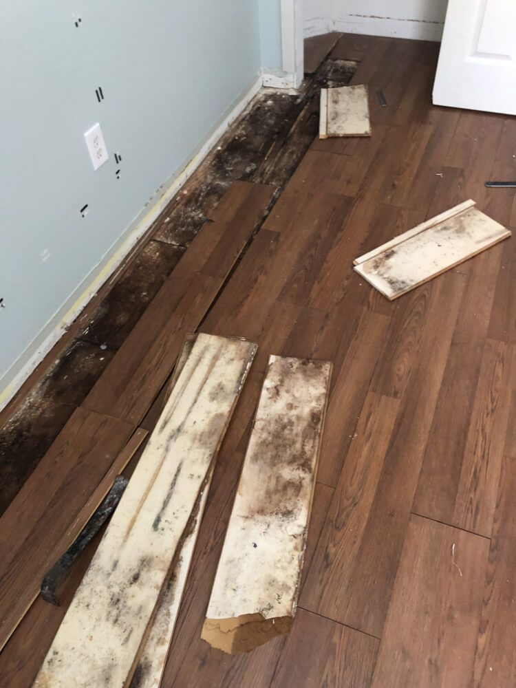 Flood Damage Restoration in Tampa