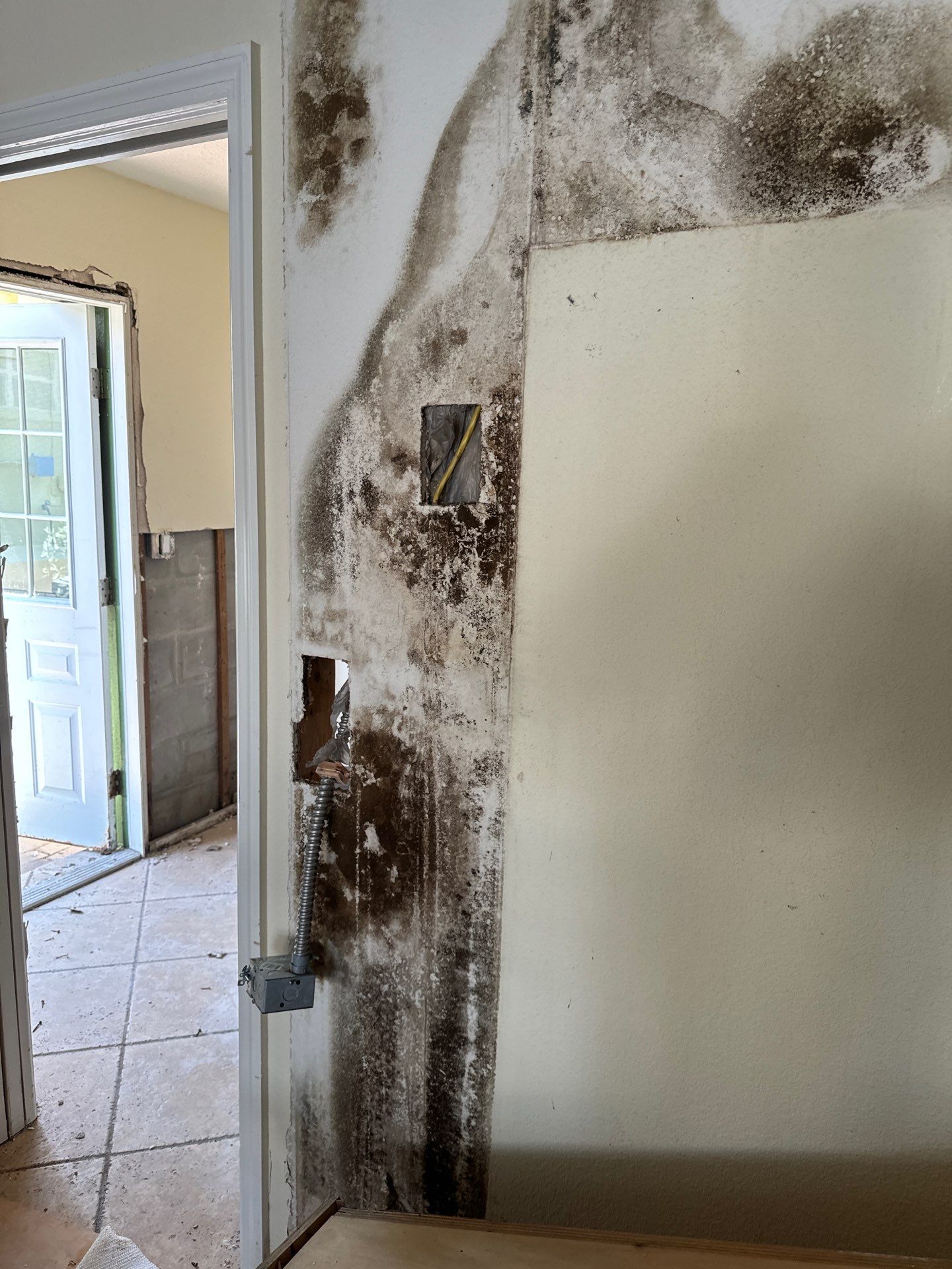 Demo Service by Tampa Emergency Restoration