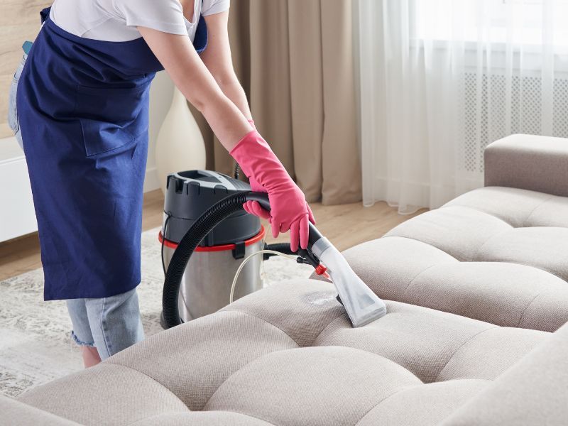 Expert Upholstery Cleaning in Tampa FL