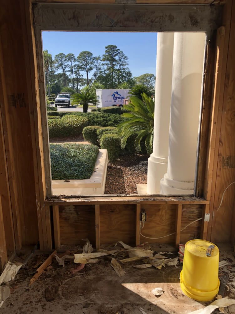 mold remediation window