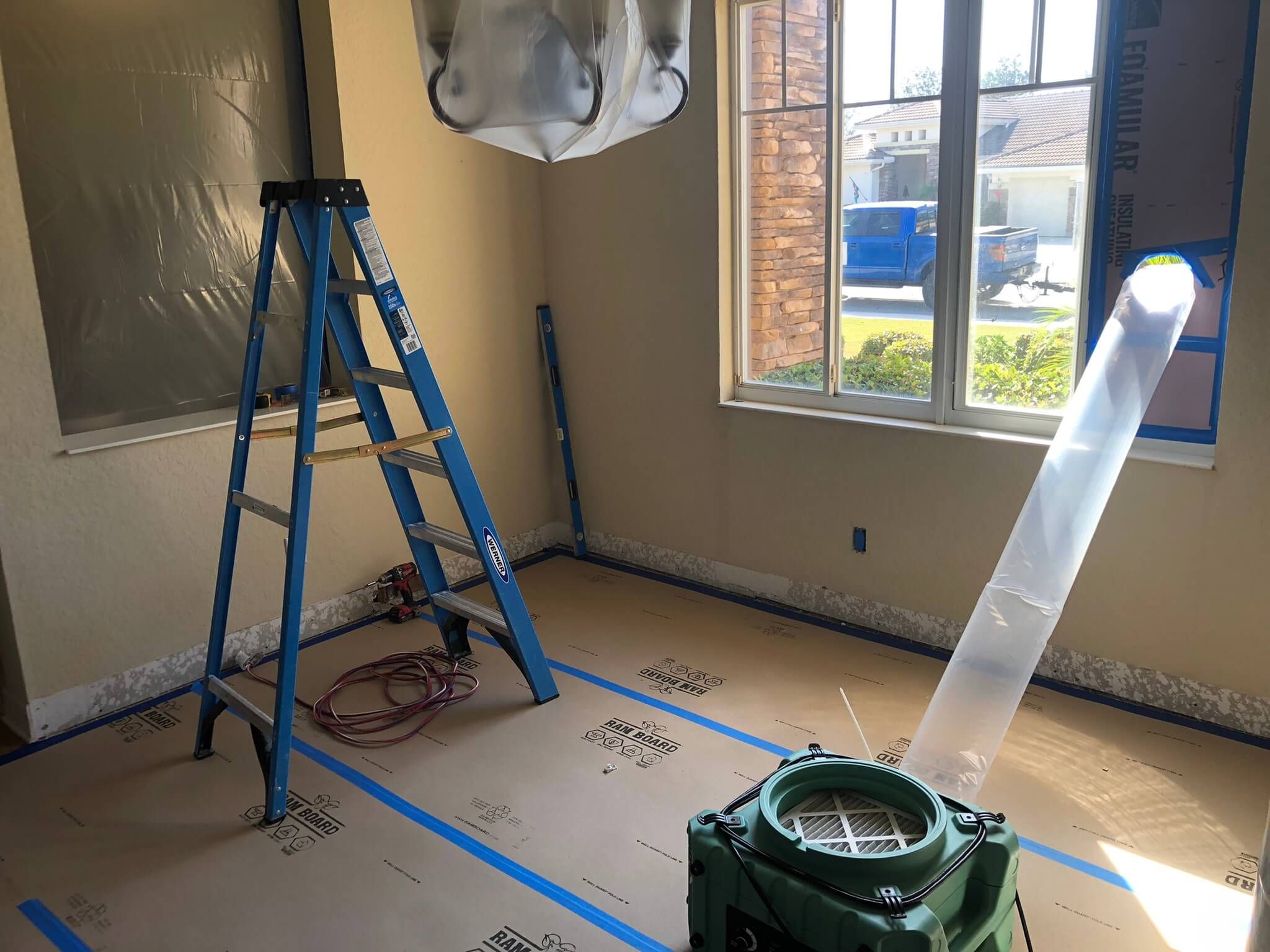 mold remediation in dining room