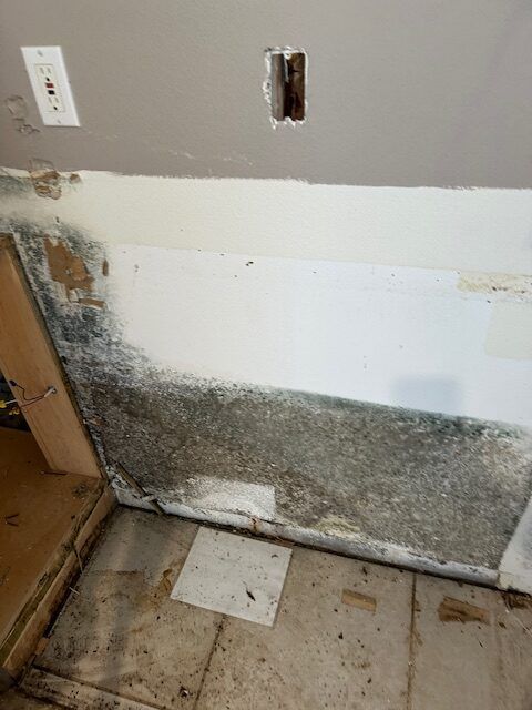 Demo Service by Tampa Emergency Restoration