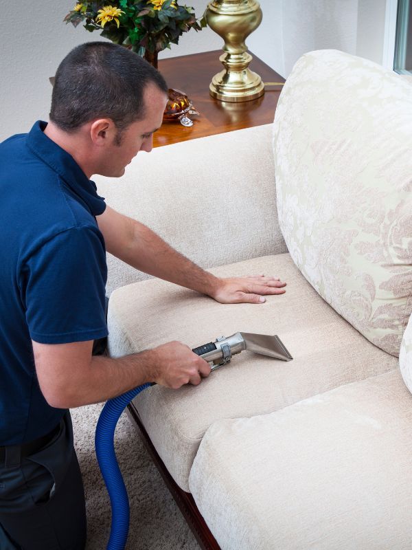 Professional Upholstery Cleaning Near Me