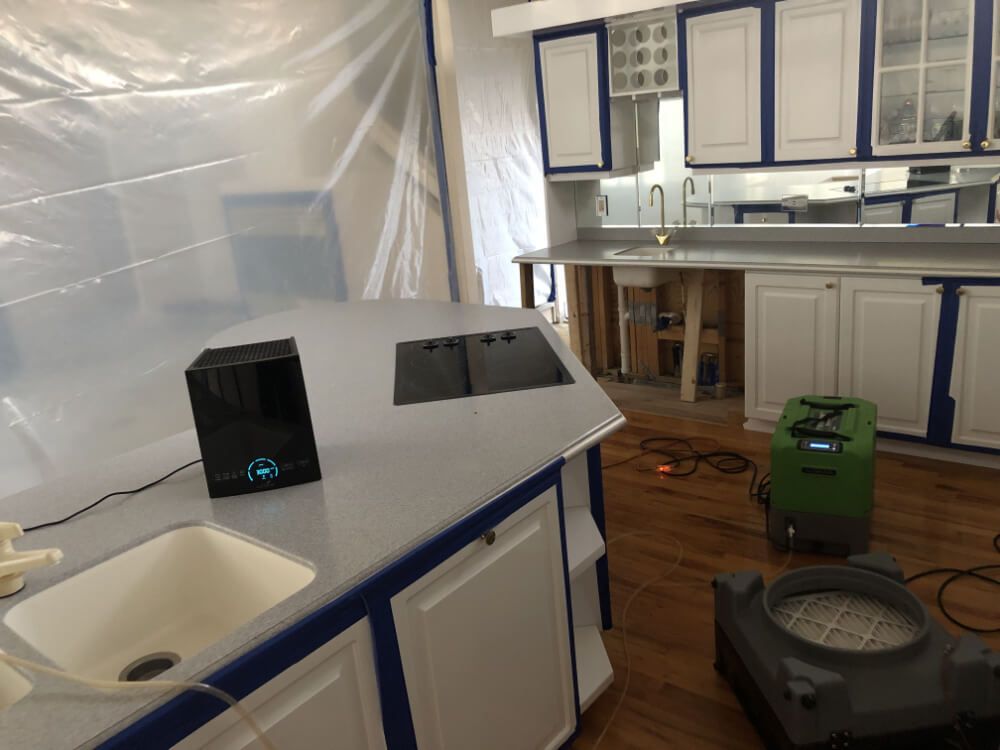 mold remediation in kitchen