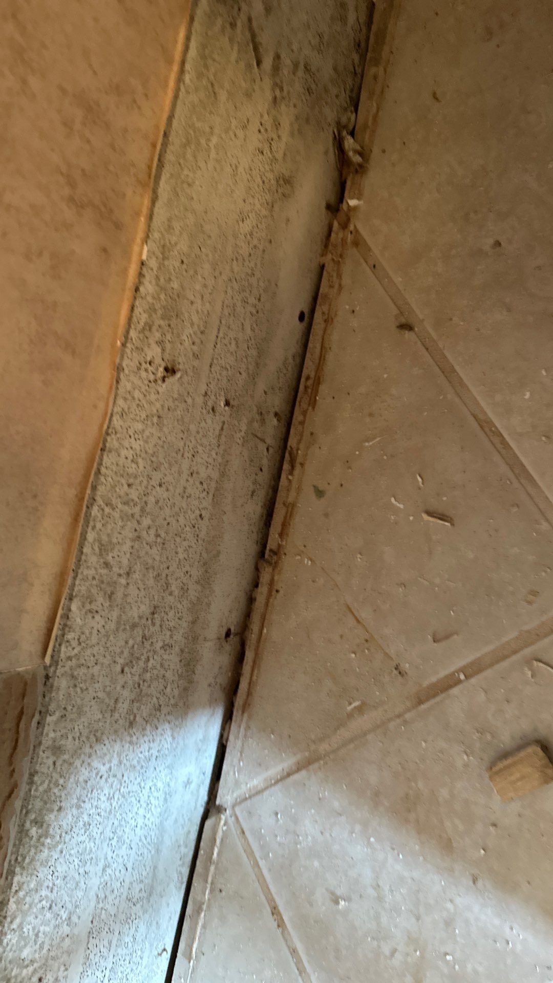 Demo Service by Tampa Emergency Restoration