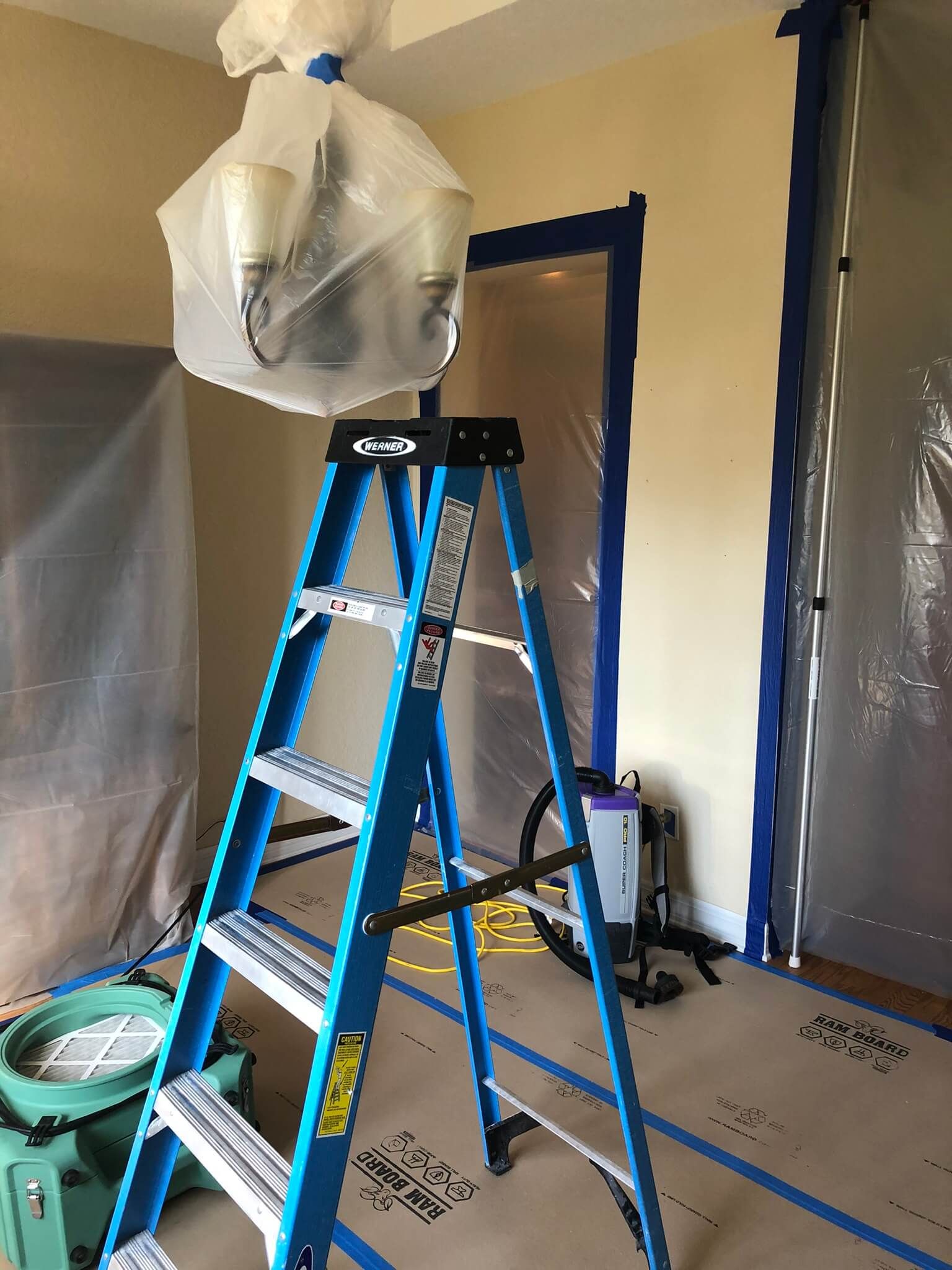 mold remediation in dining room