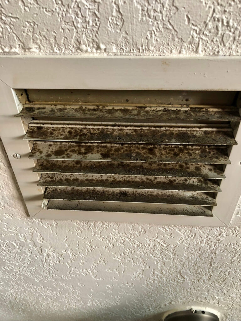 Air duct sanitizing