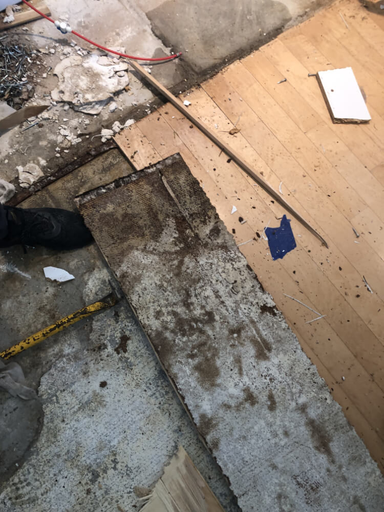 mold remediation in flooring