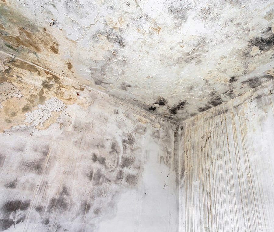 Tampa Water Damage Restoration